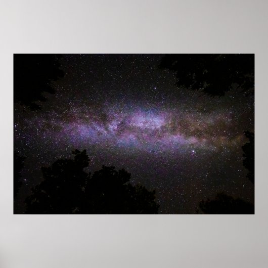 木々のシルエットを持つ天の川 ポスター (正面)