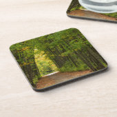 木々のトンネルの端の光 コースター (左側)