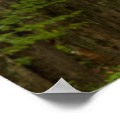 木々のトンネルの端の光 ポスター (角)