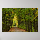 木々のトンネルの端の光 ポスター (正面)