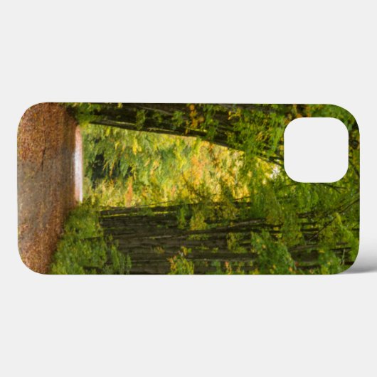 木々のトンネルの端の光 Case-Mate iPhoneケース (裏面 (横))