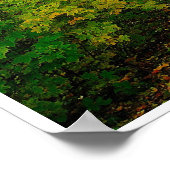 木々のポスターを通る木道FROM 8.99 ポスター (角)