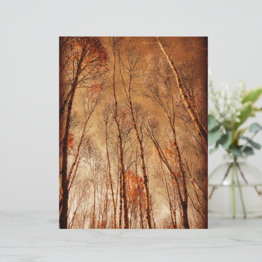 木々のヴィンテージ茶色オレンジウッドランドフォレスト (スタンド正面)