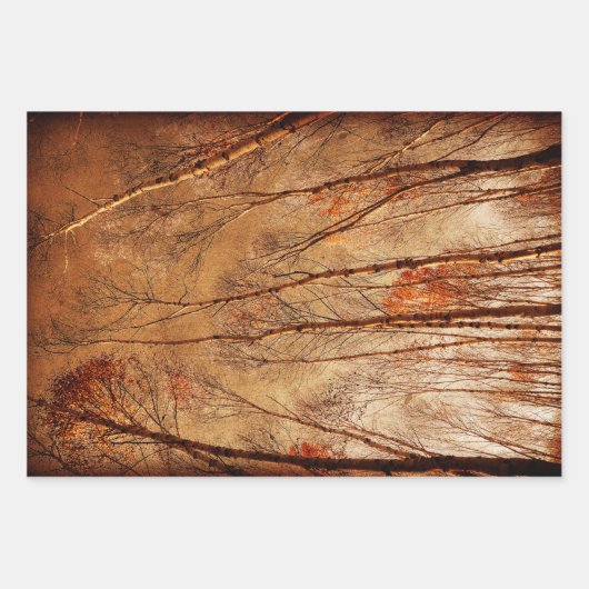 木々のヴィンテージ茶色オレンジウッドランドフォレスト ラッピングペーパーシート (正面3)