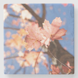 木々の上に ストーンコースター