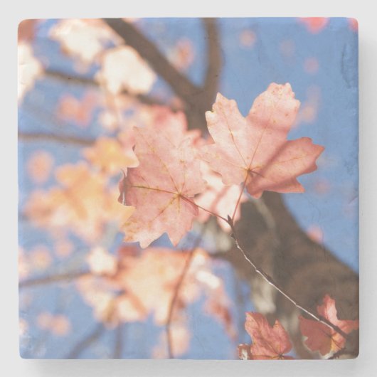 木々の上に ストーンコースター (正面)