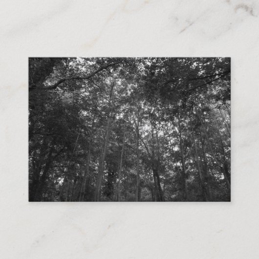 木々の上に、ミニフォト 名刺 (正面)