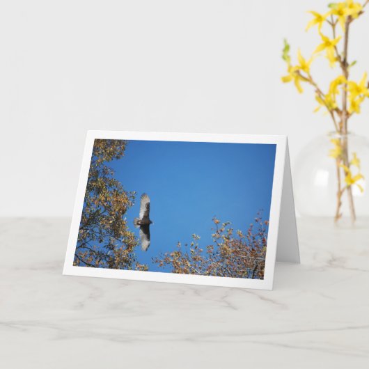 木々の上のアメリカコンドル カード (黄色い花)
