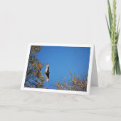 木々の上のターキーヴァルチャー カード (正面)