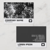 木々の上 名刺 (正面/裏面)