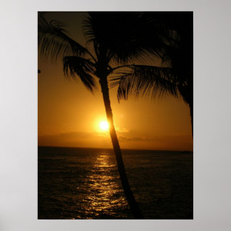 木々の中の太陽、下に行く ポスター