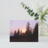 木々の向こうに…...ポストカード ポストカード (スタンド正面)