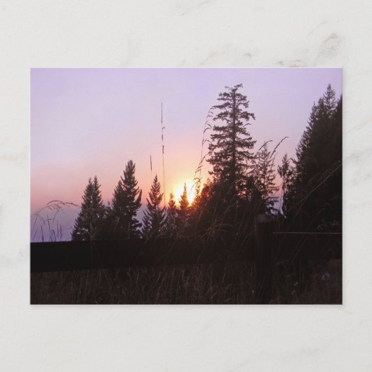 木々の向こうに…...ポストカード ポストカード (正面)