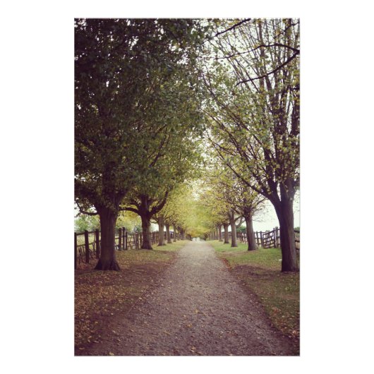 木々の林道 フォトプリント            (正面)