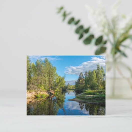 木々の田舎の風光明媚な流れ ポストカード (スタンド正面)