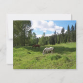 木々の緑に覆われた谷の聖書の詩の勇気付けられるカード カード (正面)