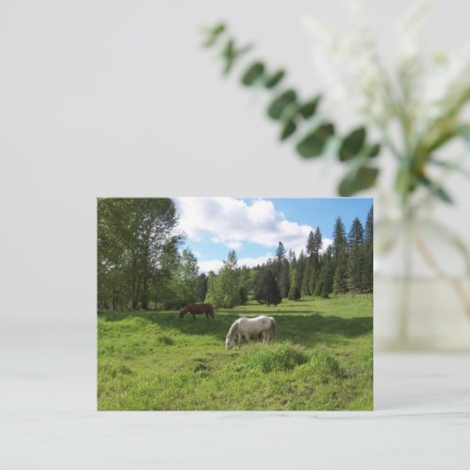 木々の緑に覆われた谷の聖書の詩の勇気付けられるカード カード (スタンド正面)