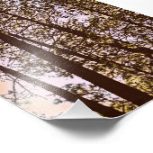 木々の色の写真プリント フォトプリント            (角)