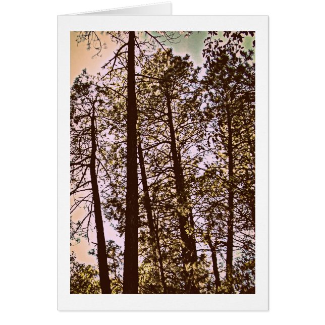 木々の色 (正面)