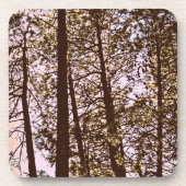 木々の色 コースター (正面)