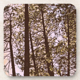 木々の色 コースター