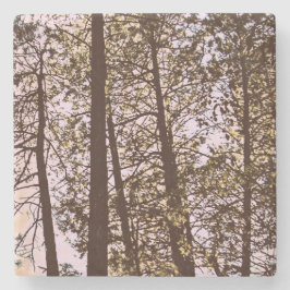木々の色 ストーンコースター