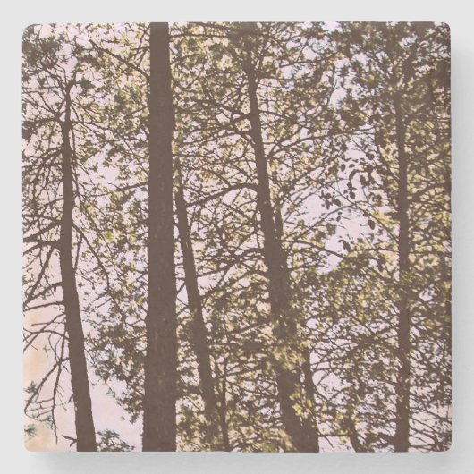 木々の色 ストーンコースター (正面)