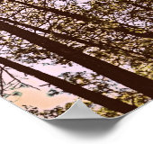 木々の色 ポスター (角)