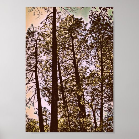木々の色 ポスター (正面)