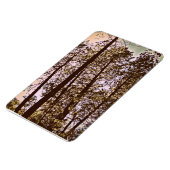 木々の色 マグネット (左側)