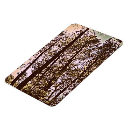 木々の色 マグネット (左側)