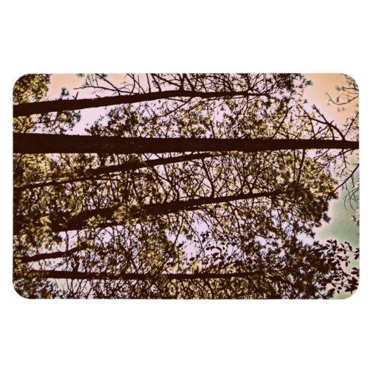 木々の色 マグネット (横)