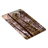 木々の色 マグネット (右側)