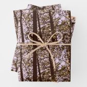 木々の色 ラッピングペーパーシート (インサイチュ)