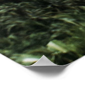 木々の近くに立つ女性 ポスター (角)