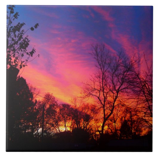 木々の間から燃えるような夕日 タイル (正面)