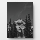 木々の間に見える山頂 フォトプラーク (正面)