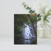 木々の間に隠れている ポストカード (スタンド正面)