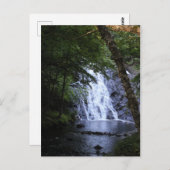 木々の間に隠れている ポストカード (正面/裏面)