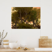 木々の間に ポスター (キッチン)