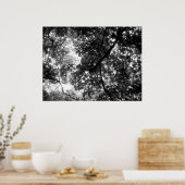 木々の間の光 ポスター (キッチン)