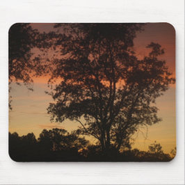 木々の間の夕日 マウスパッド