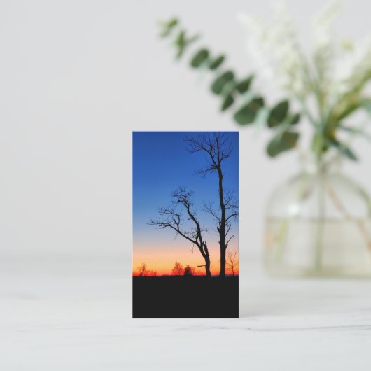 木々の間の夕日 名刺 (スタンド正面)