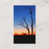 木々の間の夕日 名刺 (正面)