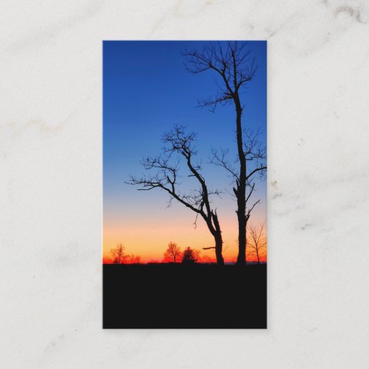 木々の間の夕日 名刺 (正面)