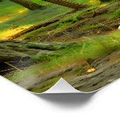 木々の間の太陽 ポスター (コーナー)