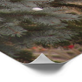 木々の間の宝石 ポスター (角)