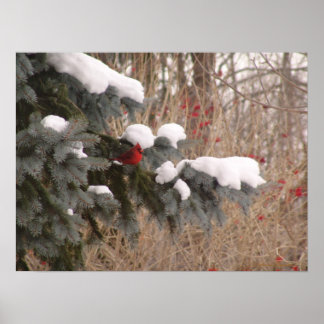 木々の間の宝石 ポスター