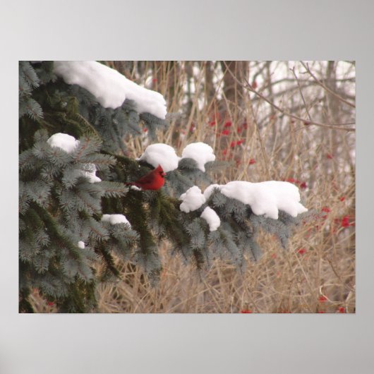 木々の間の宝石 ポスター (正面)