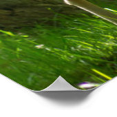 木々の間の森の中の野生動物のヒグマ ポスター (角)